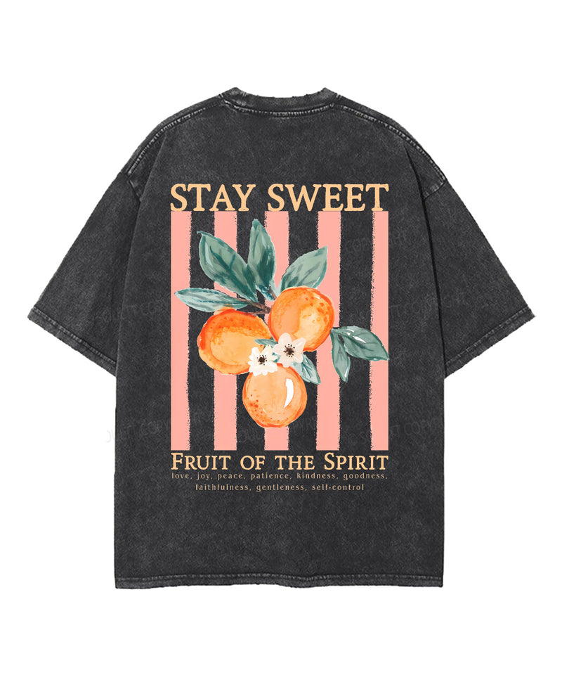 Fruit Of The Spirit Double Sided Unisex Washed Christian T-shirt
