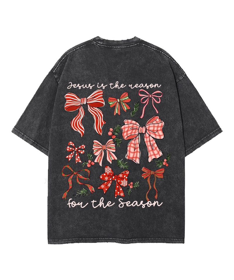 Jesus Is The Reason Double Sided Unisex Washed Christian T-shirt