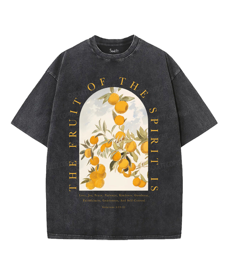 The Fruit Of The Spirit Unisex Washed Christian T-shirt