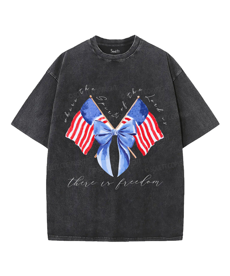 There Is Freedom Unisex Washed Christian T-shirt